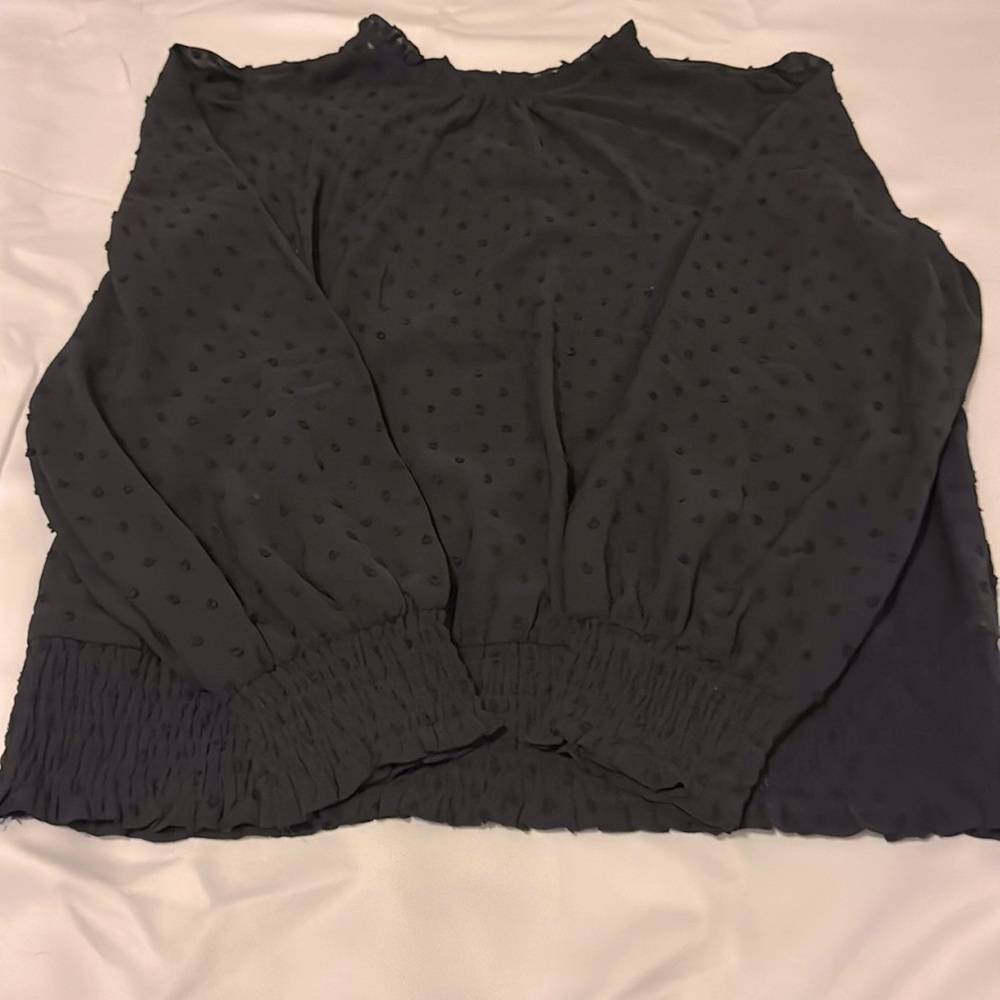 Adrianna Papell | Black Polka Dot Sheer Blouse With Lining